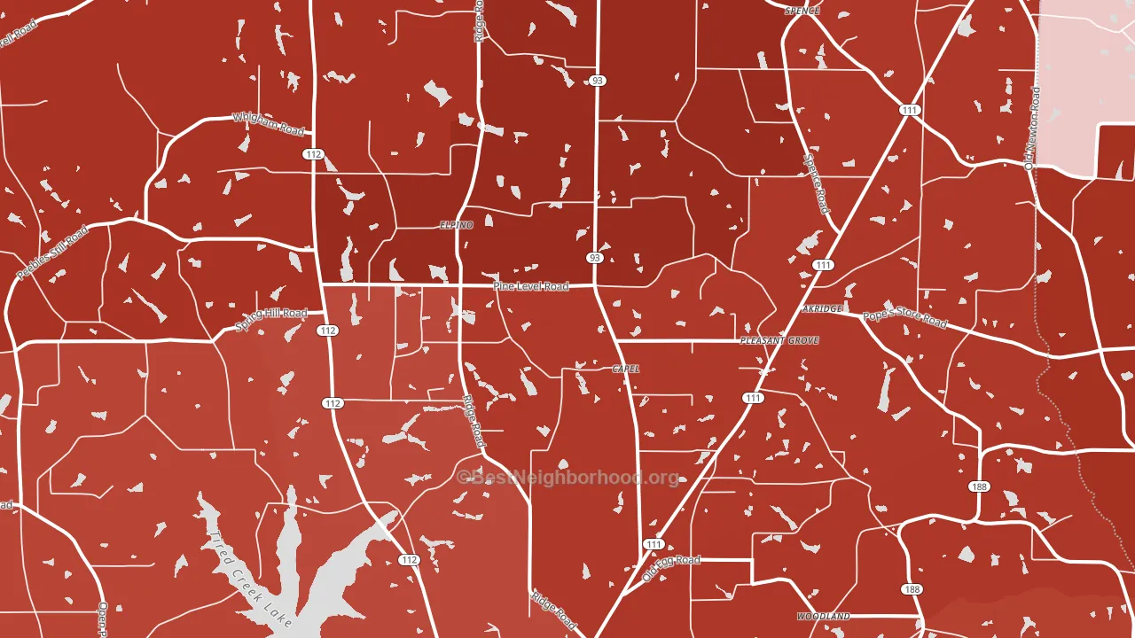 Capel, GA block-group political-lean map