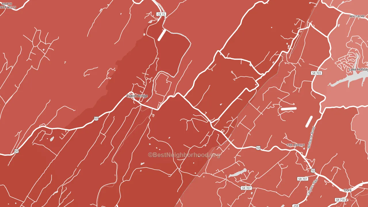 Capon Bridge, WV block-group political-lean map