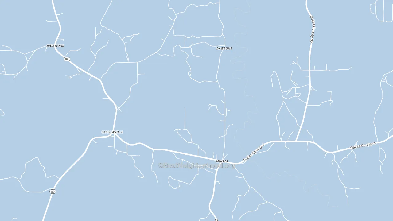 Carlowville, AL block-group political-lean map
