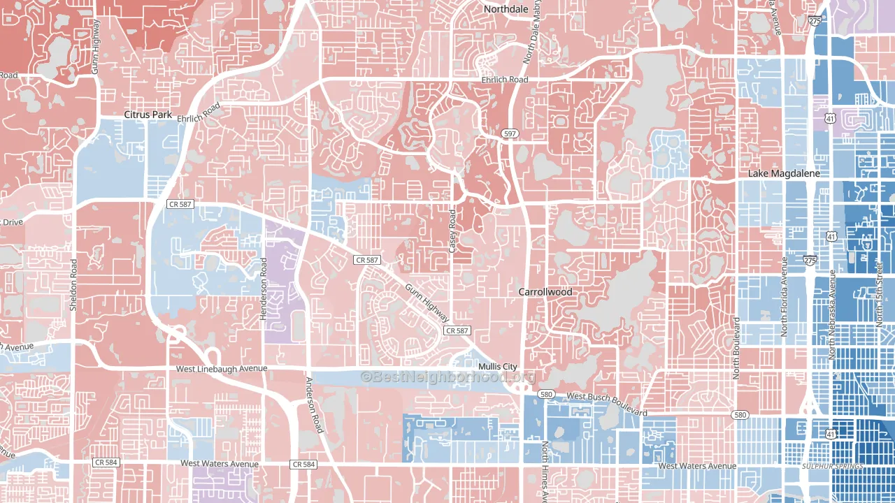 Carrollwood, Tampa, FL block-group political-lean map