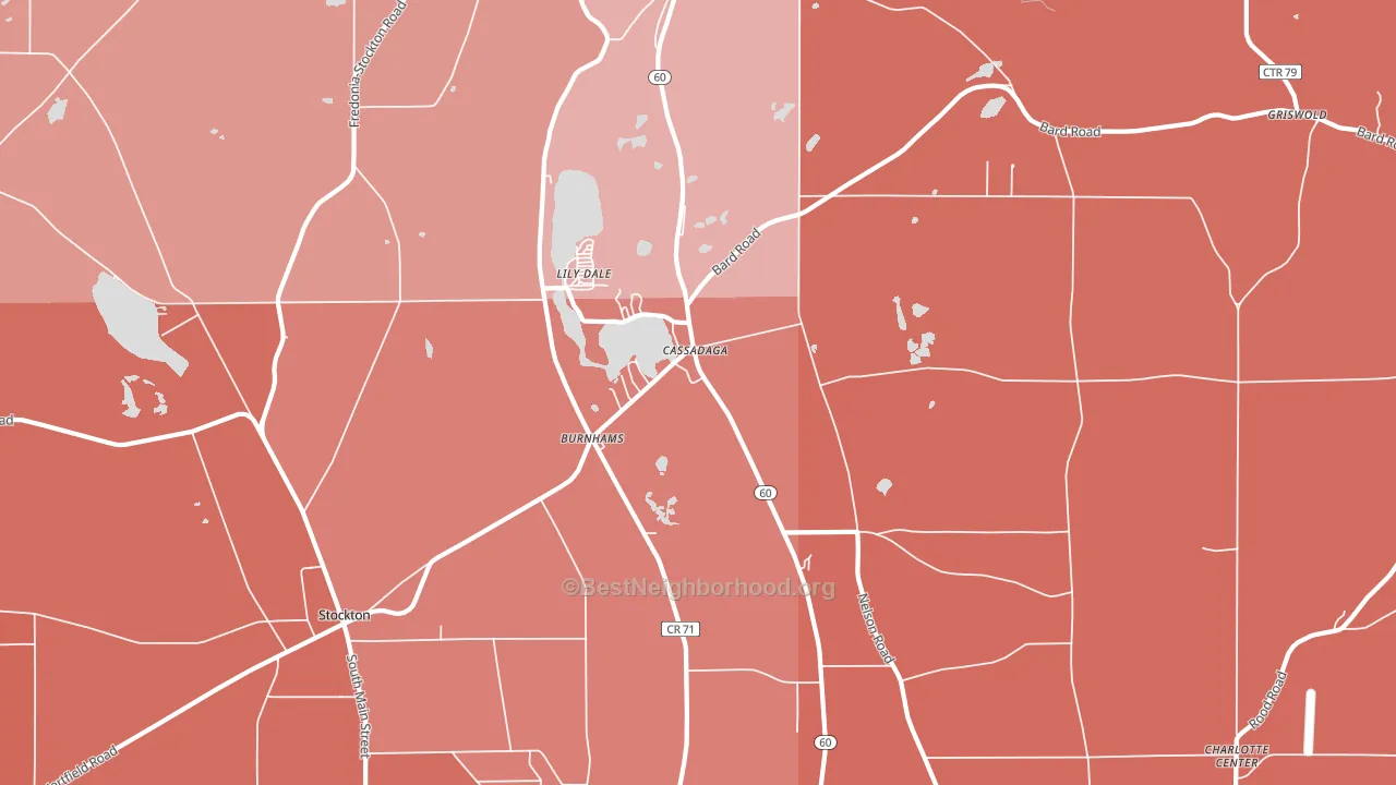 Cassadaga, NY block-group political-lean map