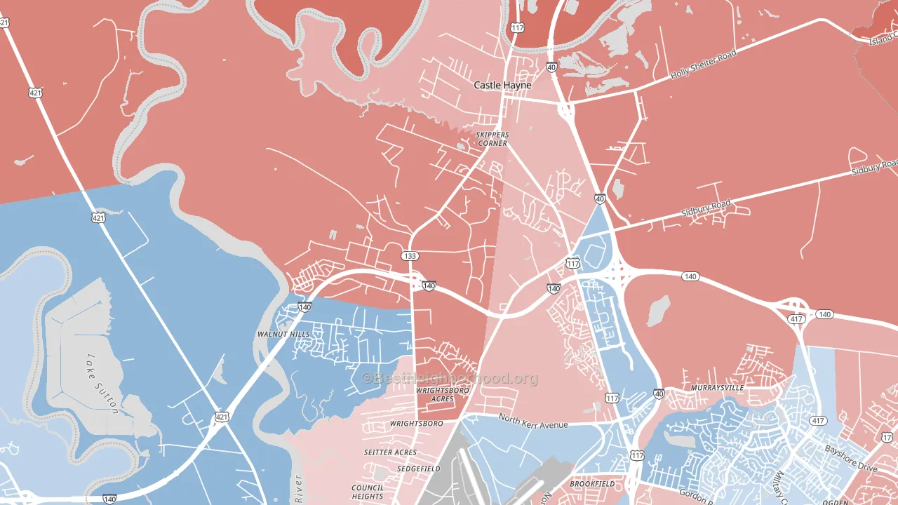 Castle Hayne, NC block-group political-lean map