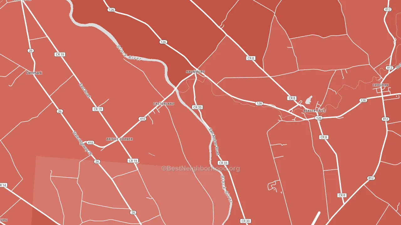 Castorland, NY block-group political-lean map