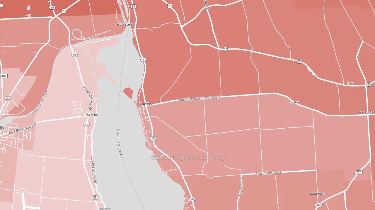Cayuga, NY block-group political-lean map
