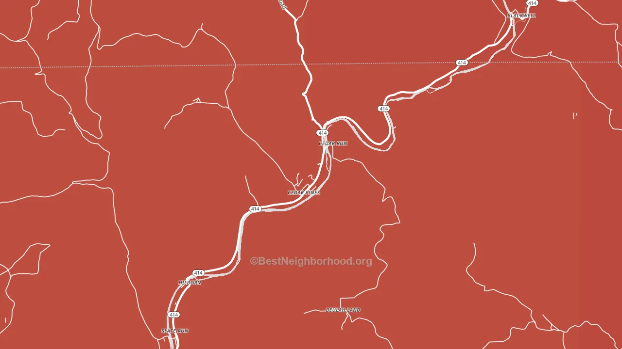 Cedar Run, PA block-group political-lean map