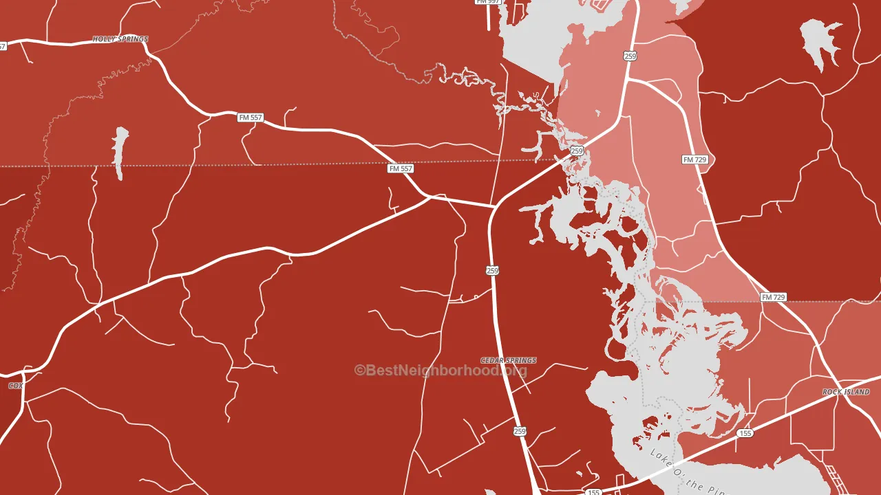 Cedar Springs, TX block-group political-lean map