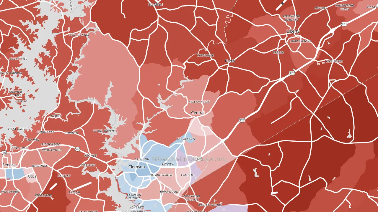 Central, SC block-group political-lean map