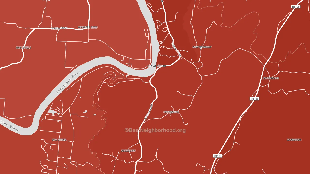 Cerro Gordo, TN block-group political-lean map