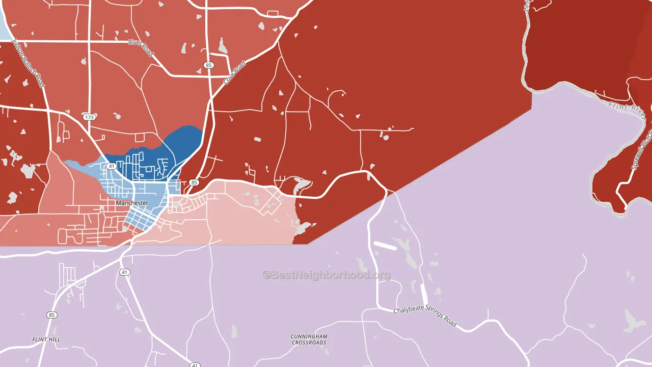 Chalybeate Springs, GA block-group political-lean map
