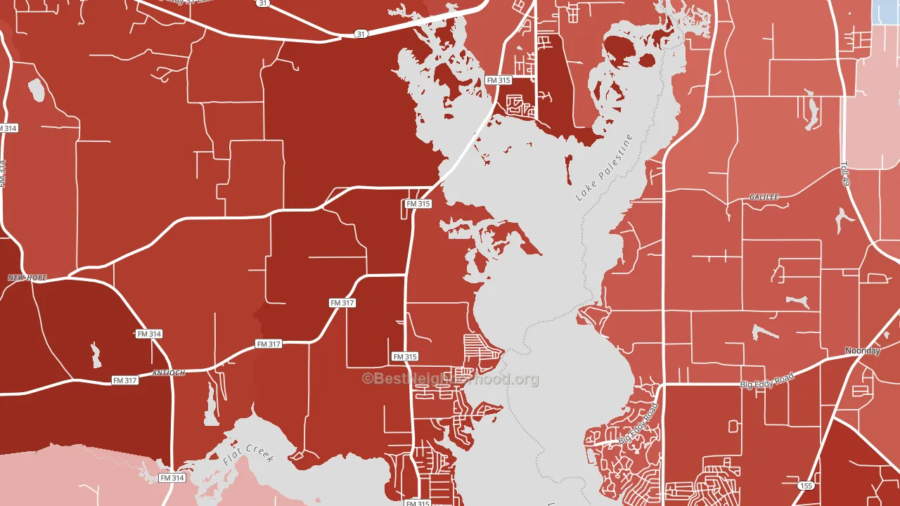 Chandler, TX block-group political-lean map