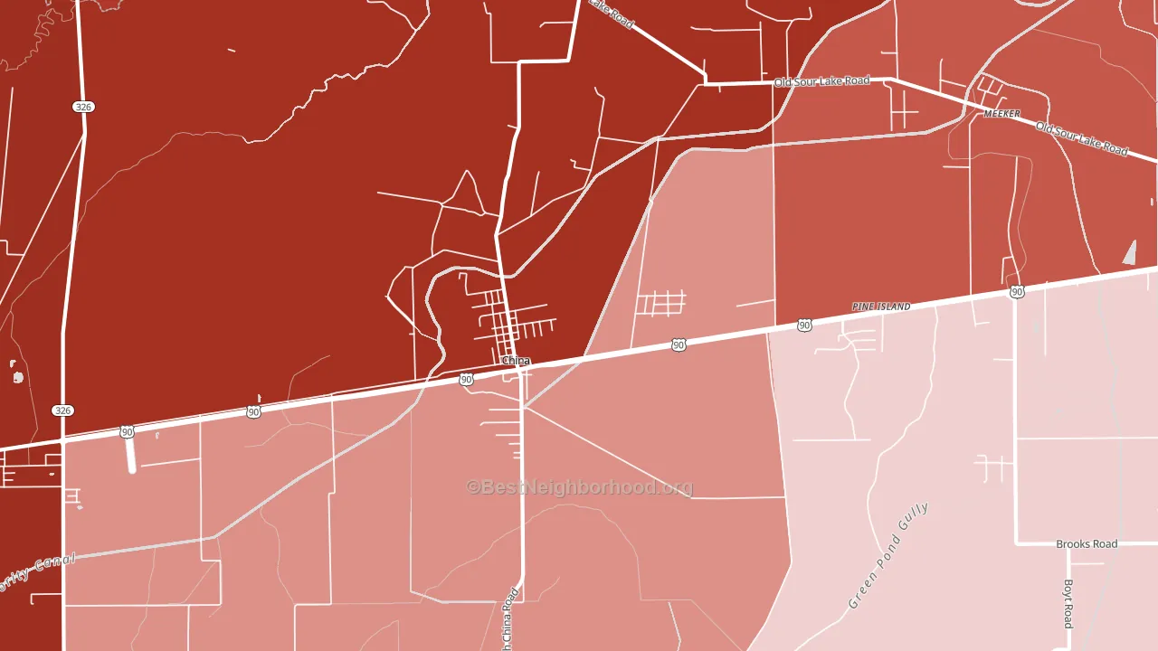 China, TX block-group political-lean map