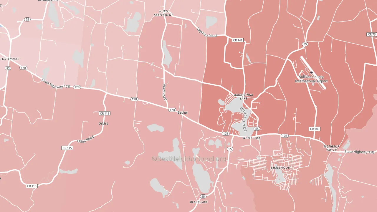 Cochecton Center, NY block-group political-lean map