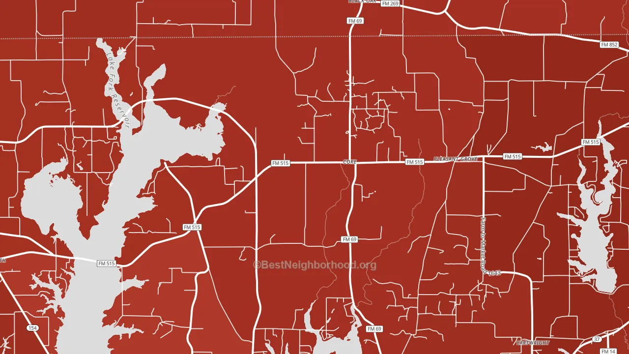 Coke, TX block-group political-lean map