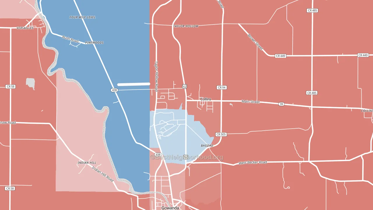 Collins, NY block-group political-lean map