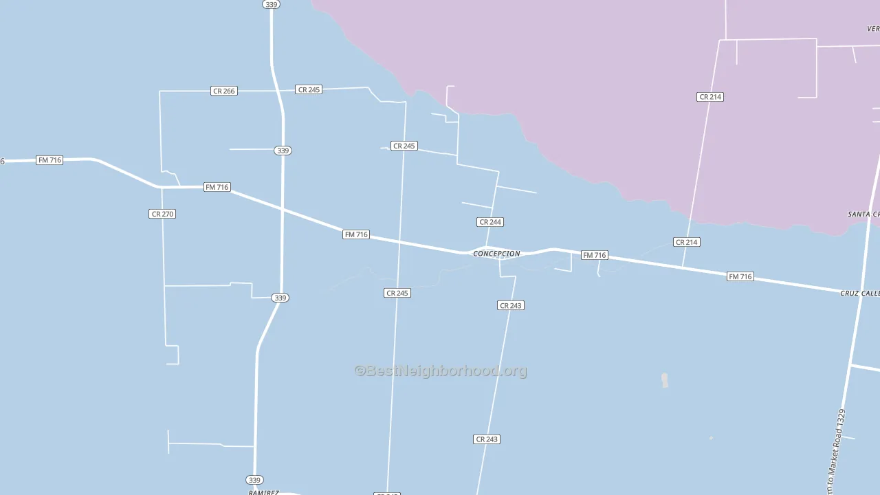 Concepcion, TX block-group political-lean map
