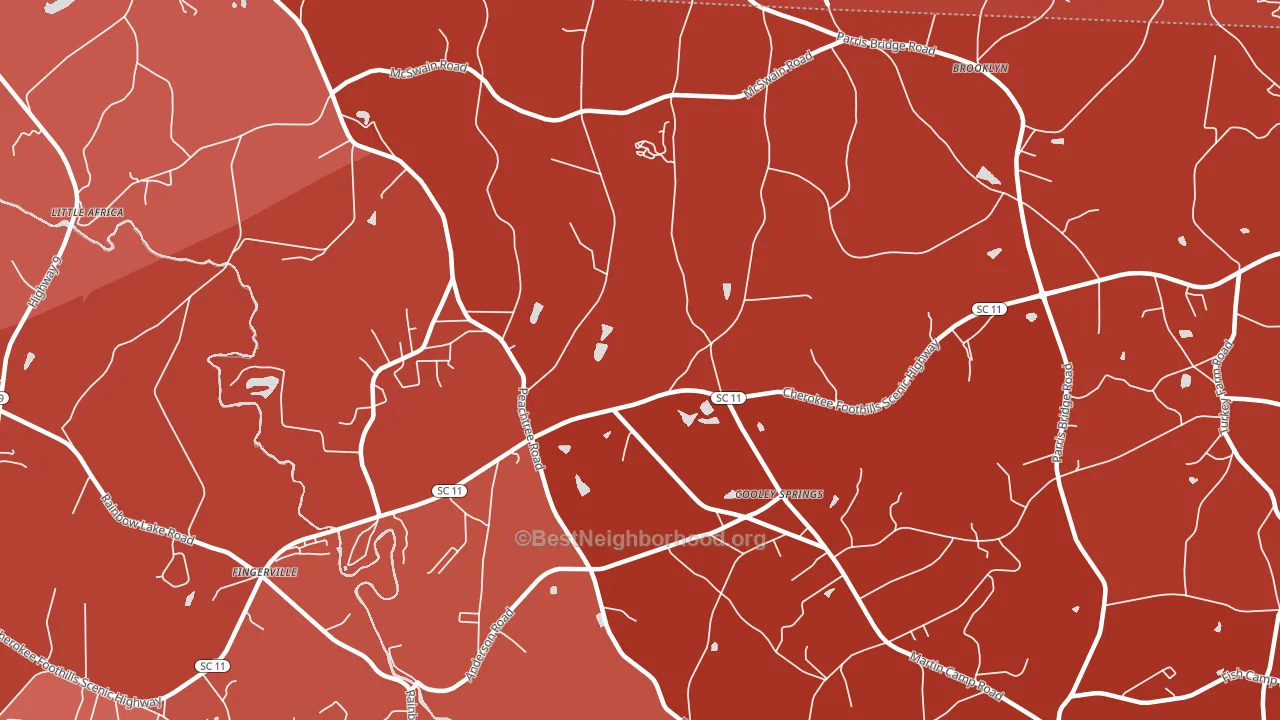 Cooley Springs, SC block-group political-lean map