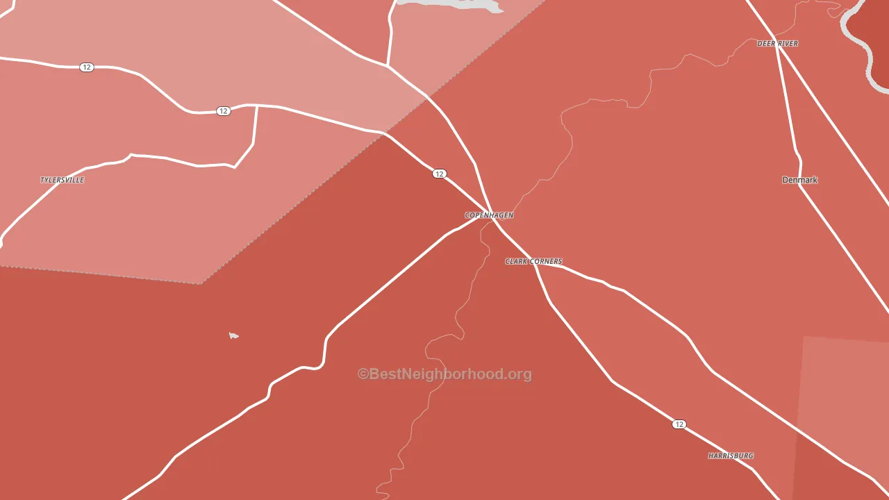Copenhagen, NY block-group political-lean map