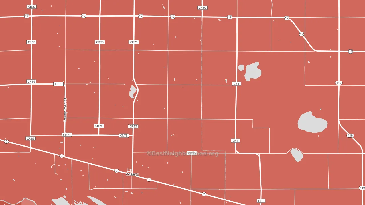 Correll, MN block-group political-lean map