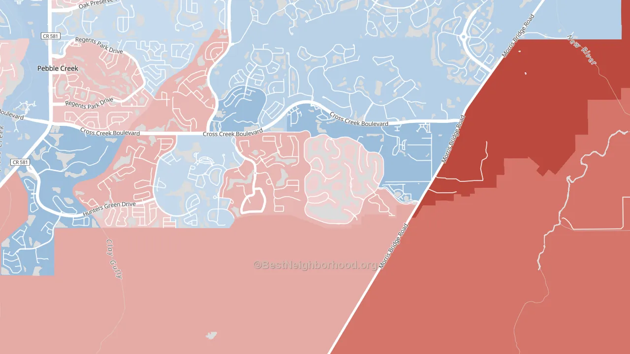 Cory Lake Isles, Tampa, FL block-group political-lean map