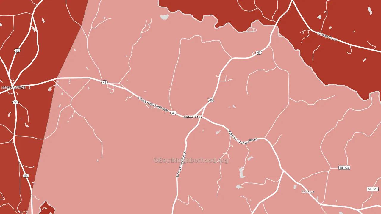 Cross Keys, SC block-group political-lean map