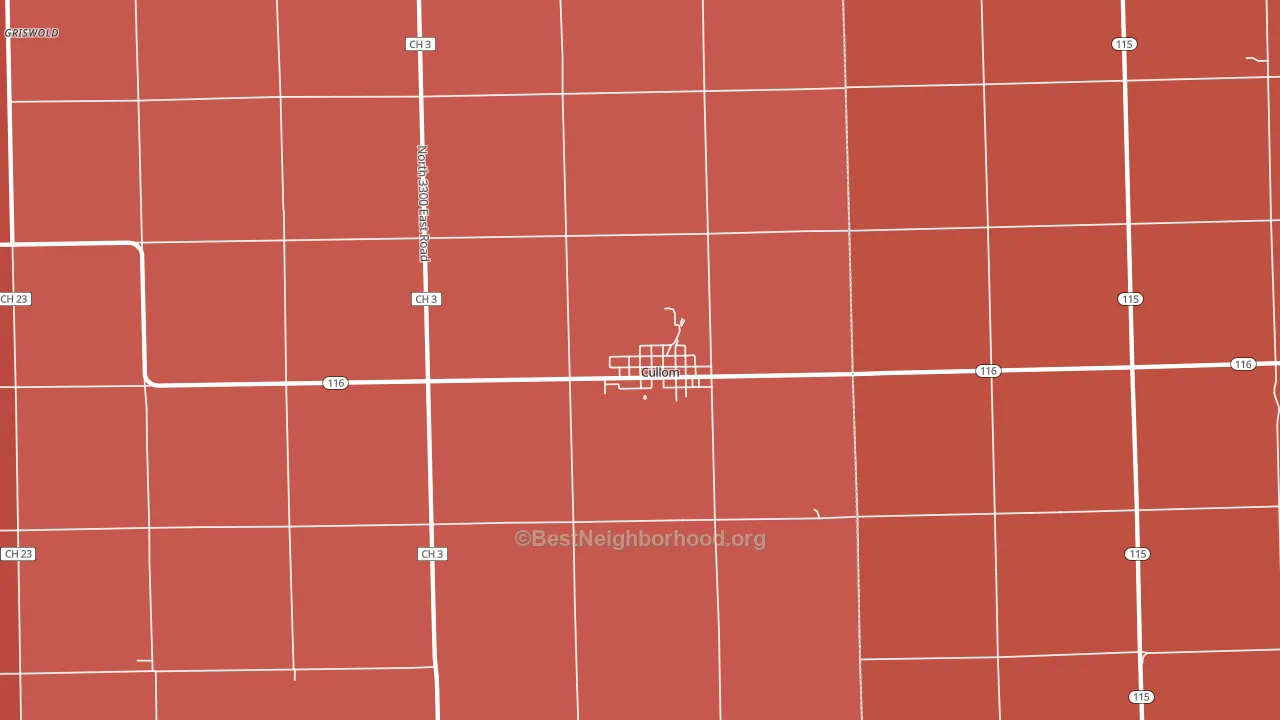 Cullom, IL block-group political-lean map