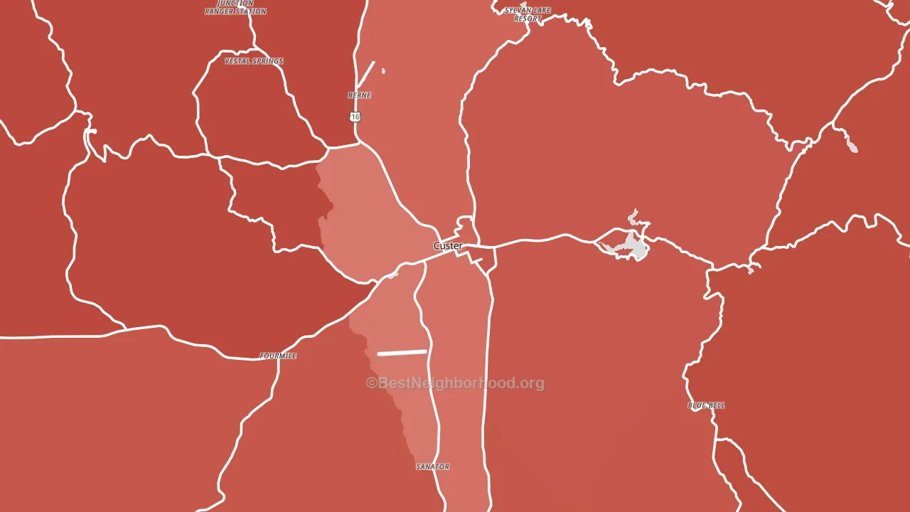 Custer, SD block-group political-lean map