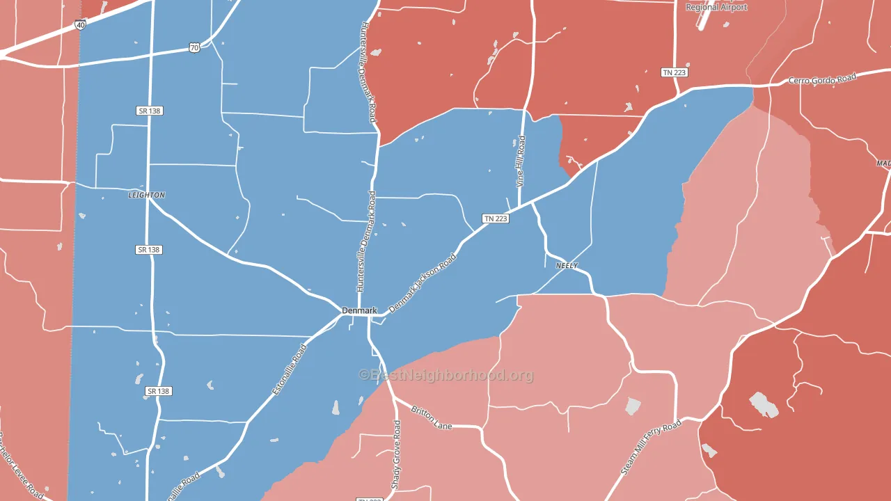 Denmark, TN block-group political-lean map
