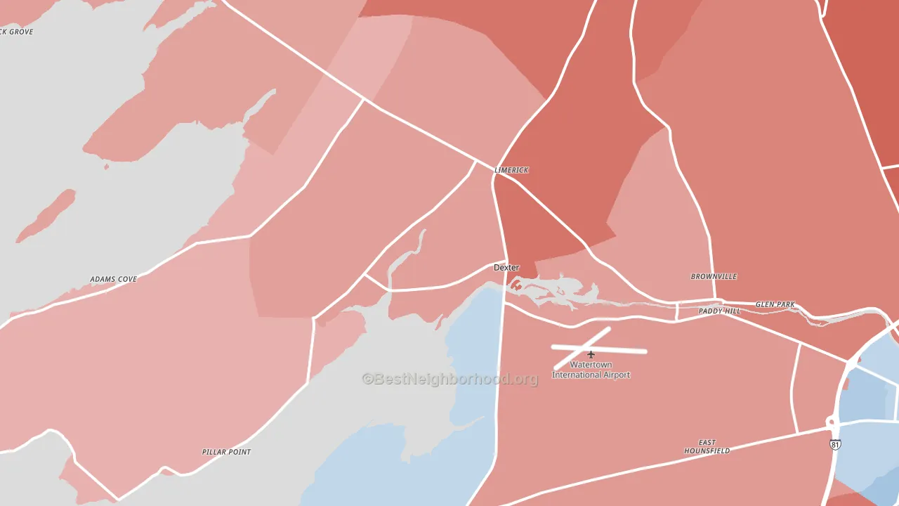 Dexter, NY block-group political-lean map