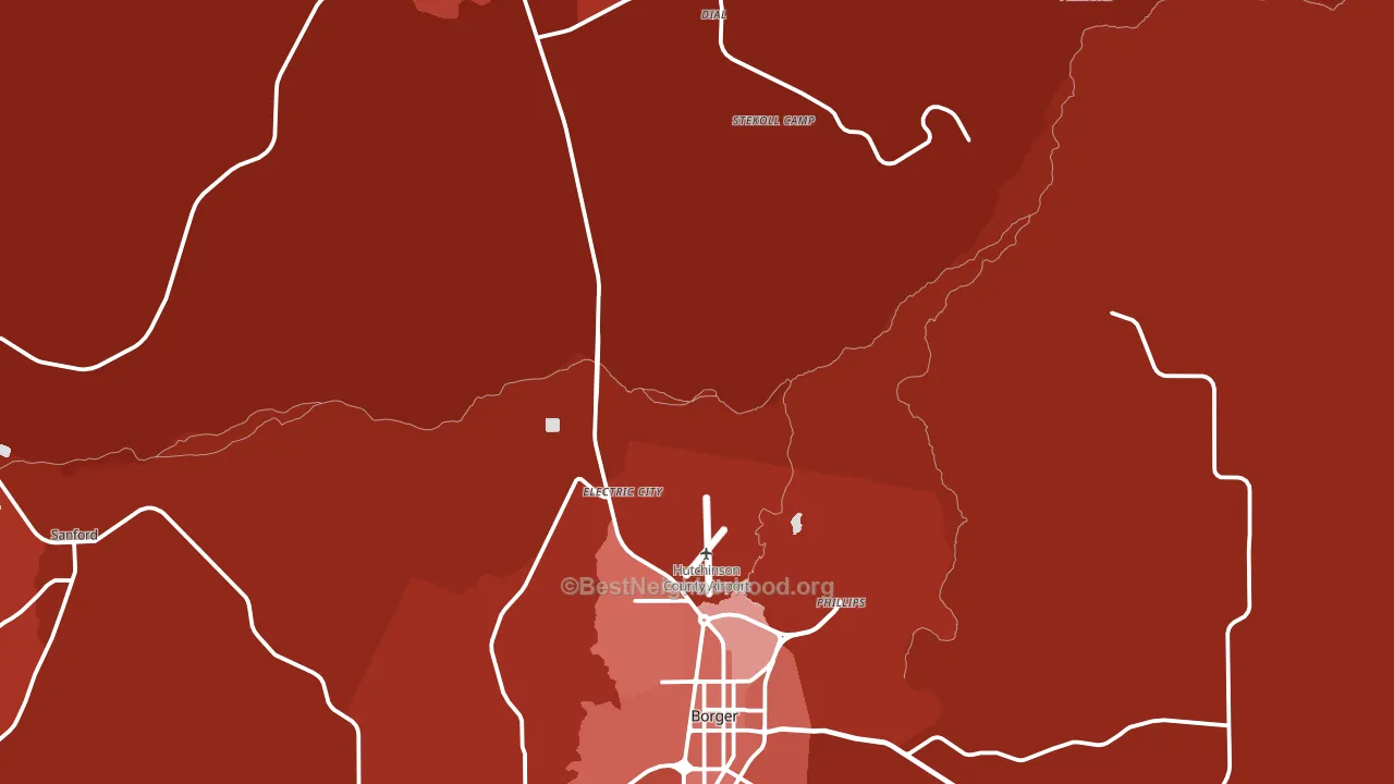 Dial, TX block-group political-lean map