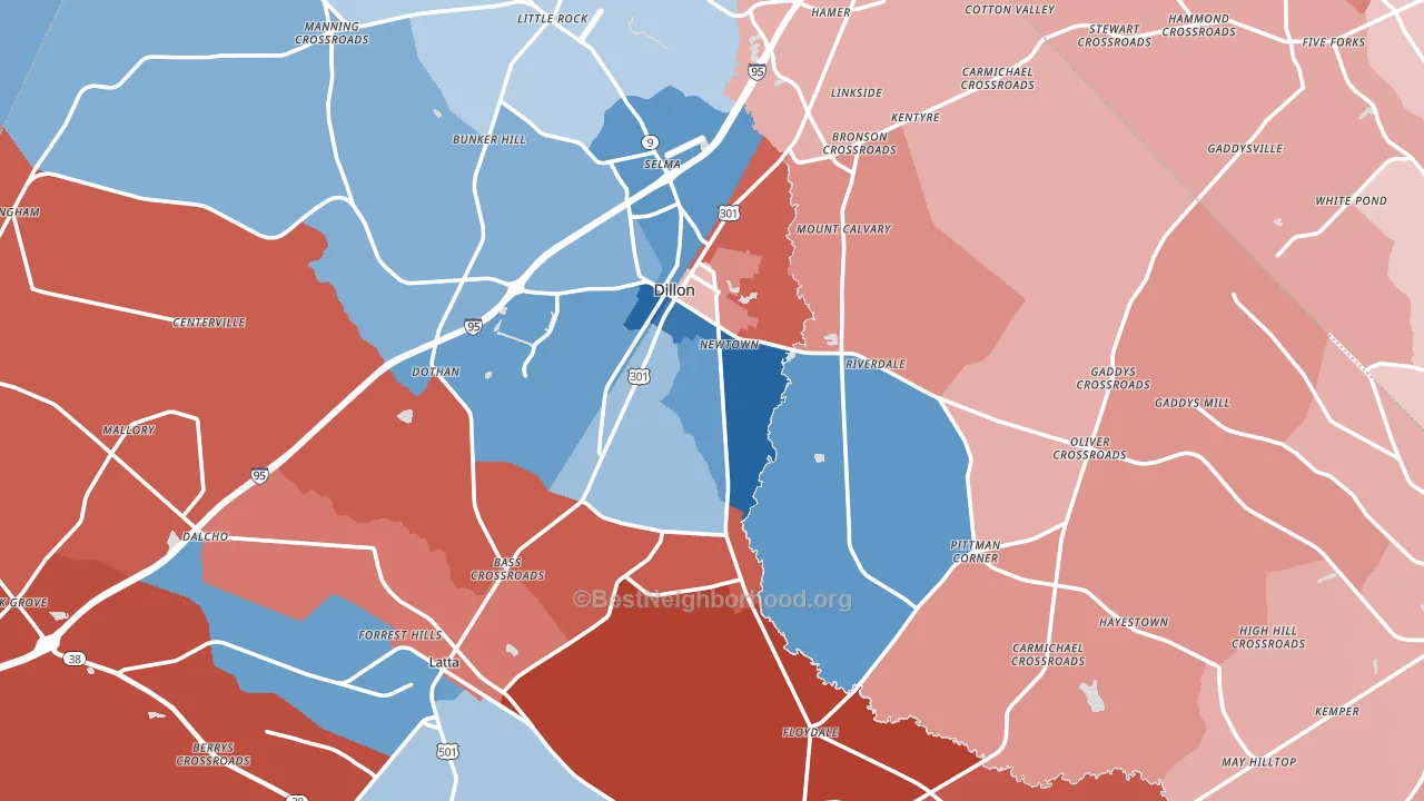 Dillon County, SC block-group political-lean map