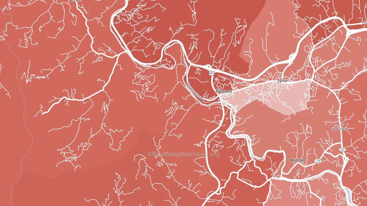 Dillsboro, NC block-group political-lean map