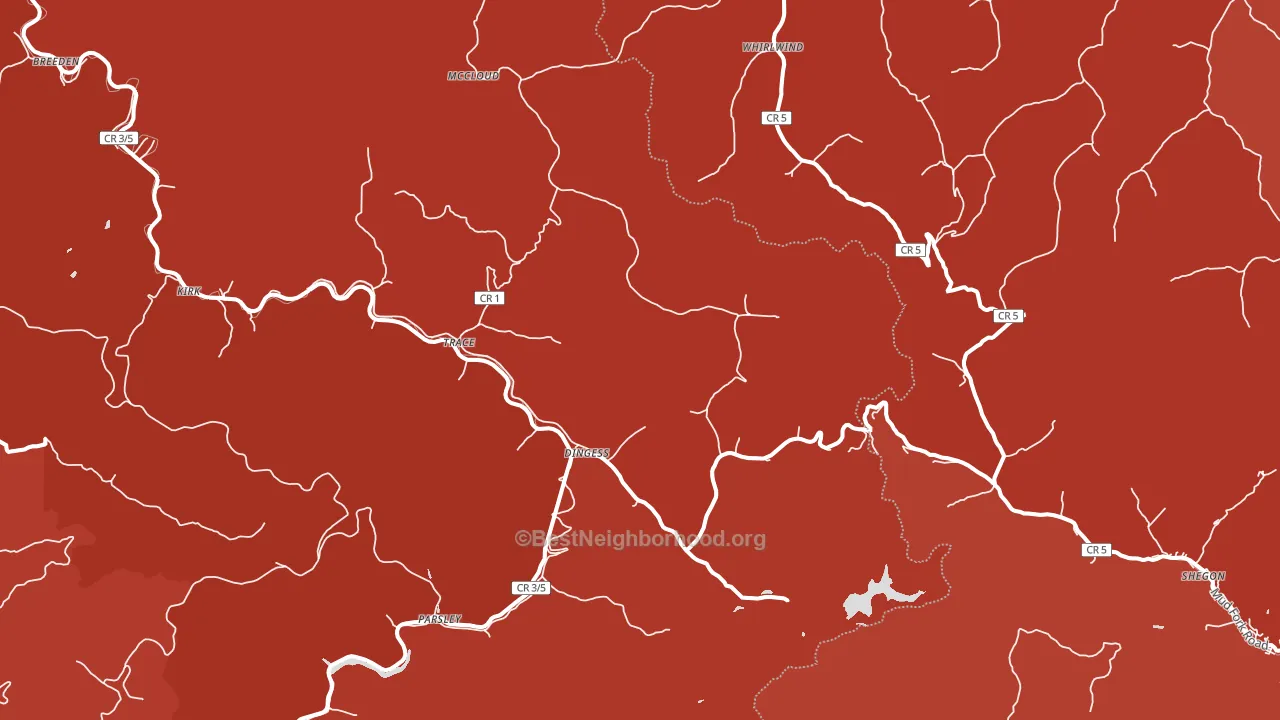 Dingess, WV block-group political-lean map