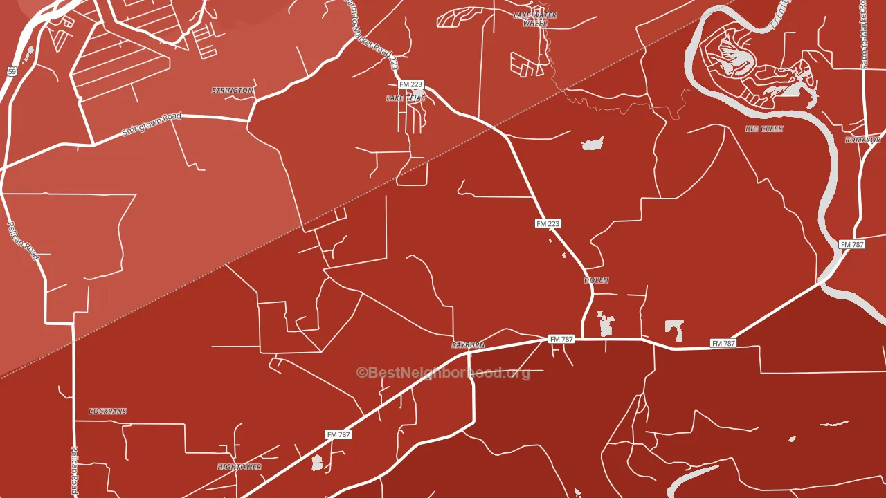 Dolen, TX block-group political-lean map