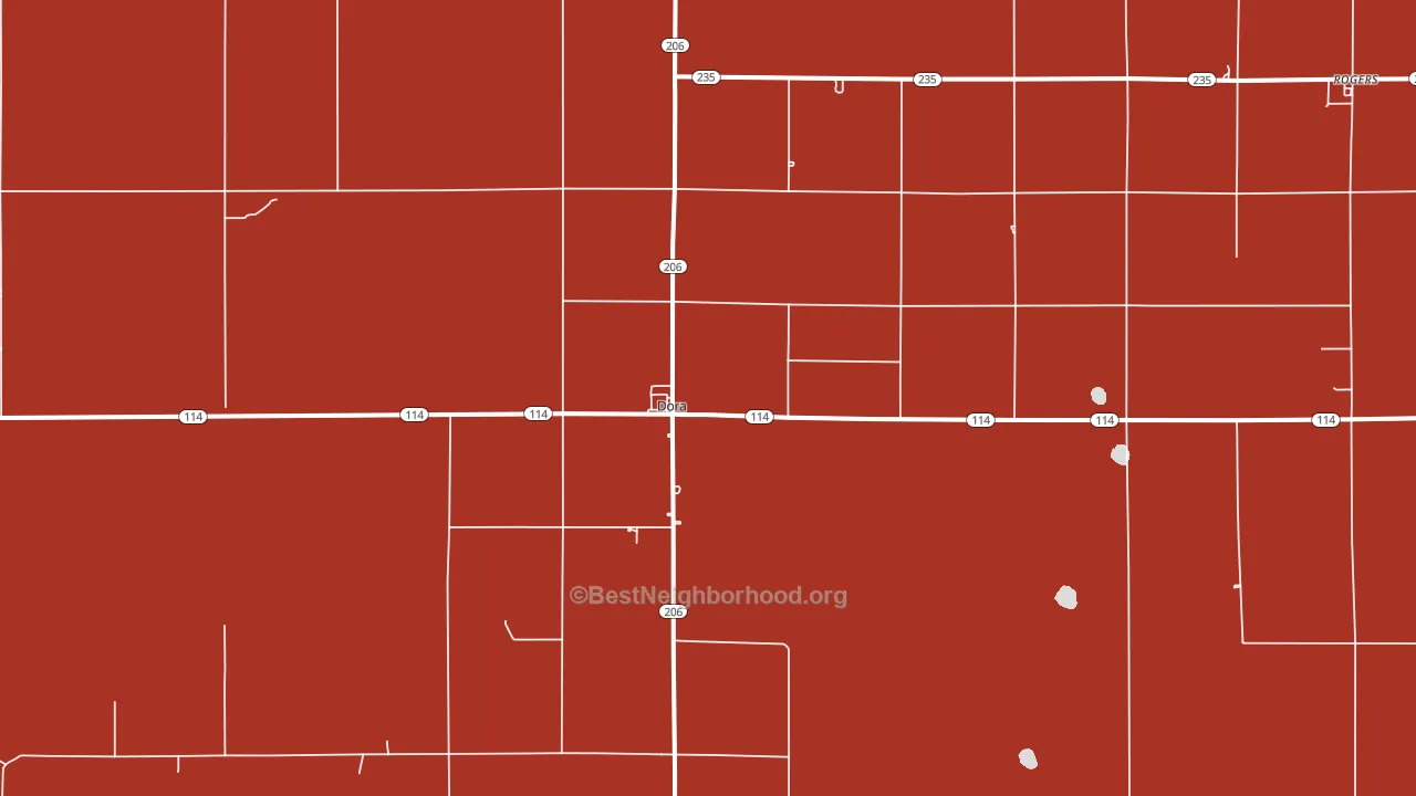 Dora, NM block-group political-lean map