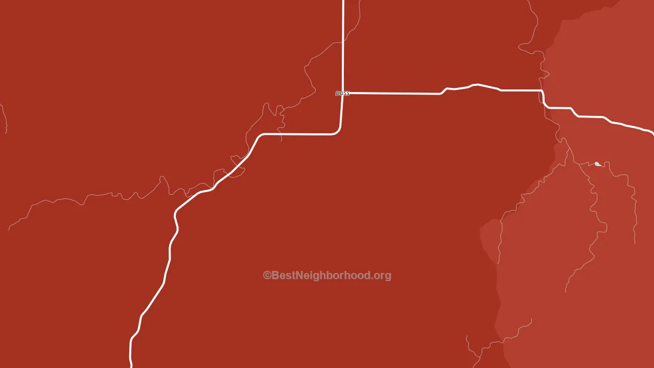 Doss, TX block-group political-lean map