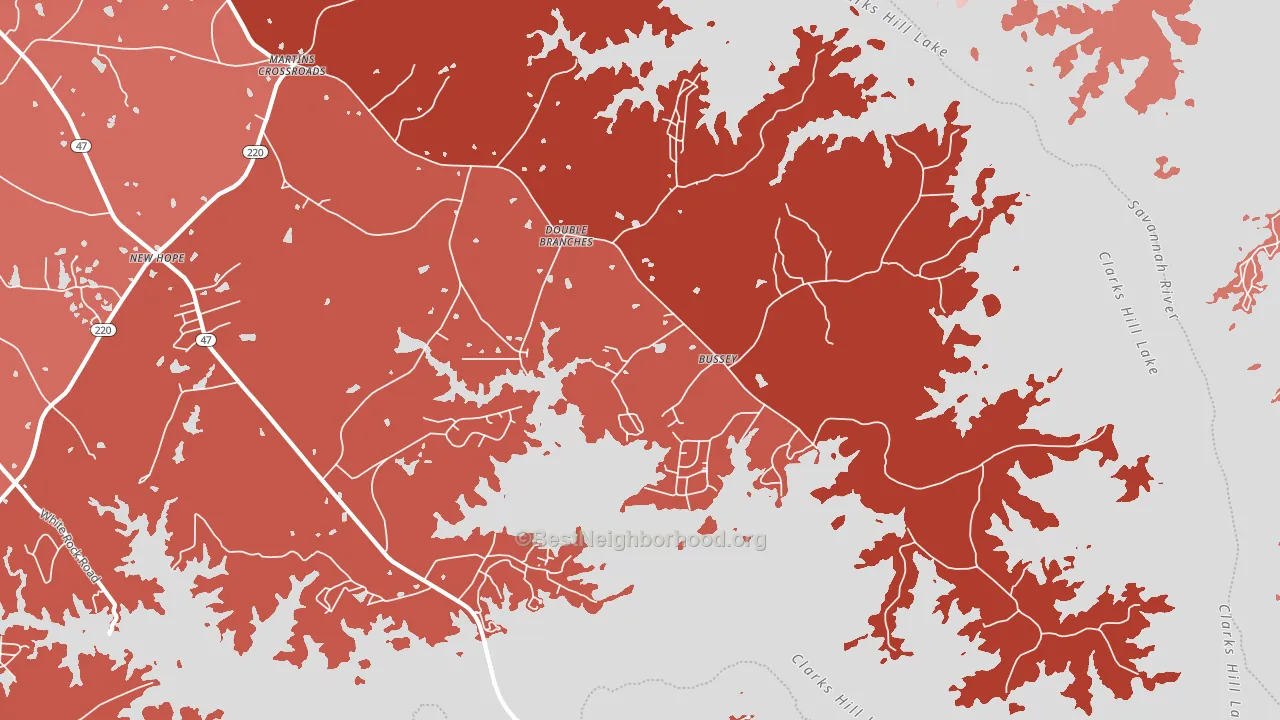 Double Branches, GA block-group political-lean map