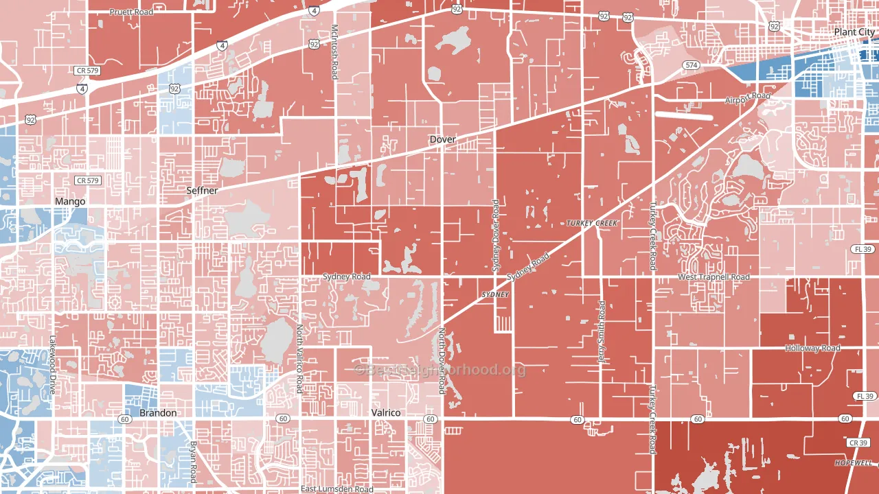 Dover, FL block-group political-lean map