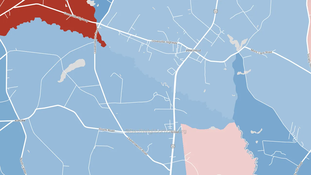 Dovesville, SC block-group political-lean map