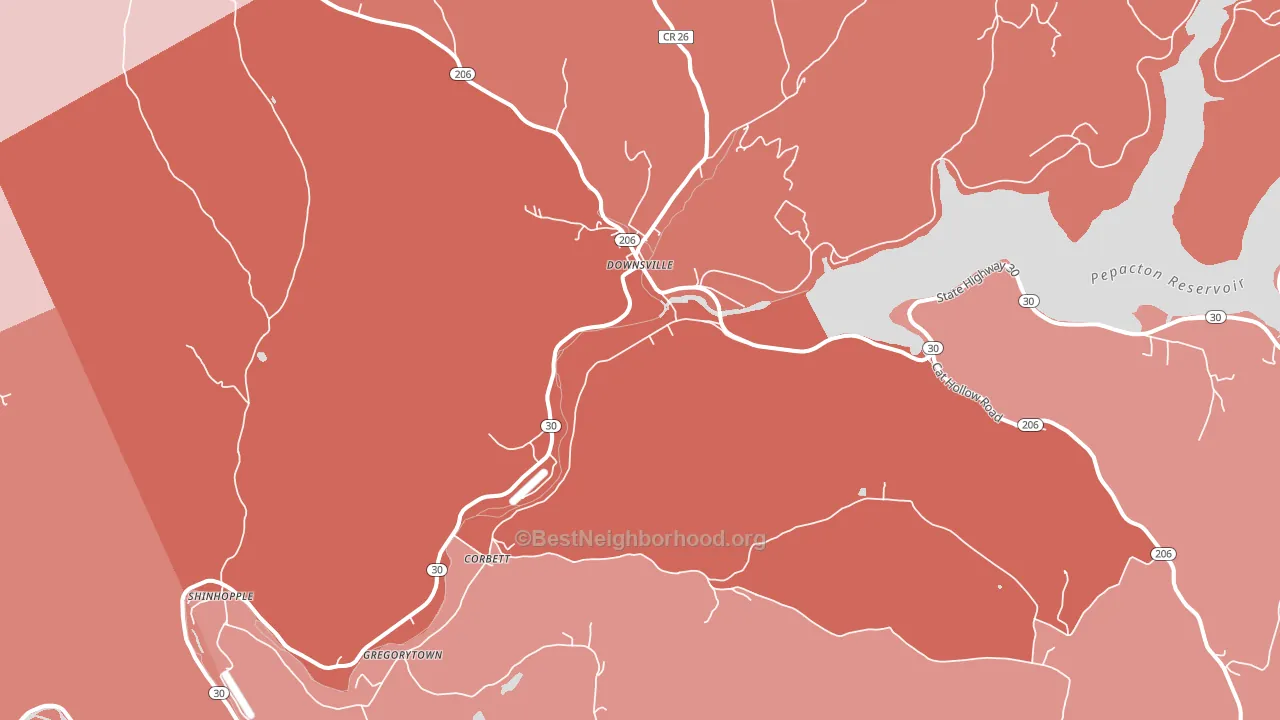 Downsville, NY block-group political-lean map