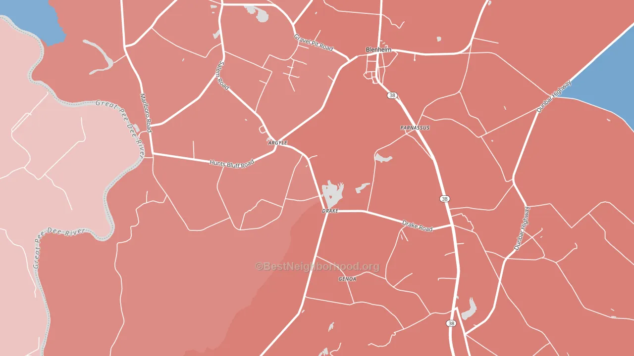 Drake, SC block-group political-lean map