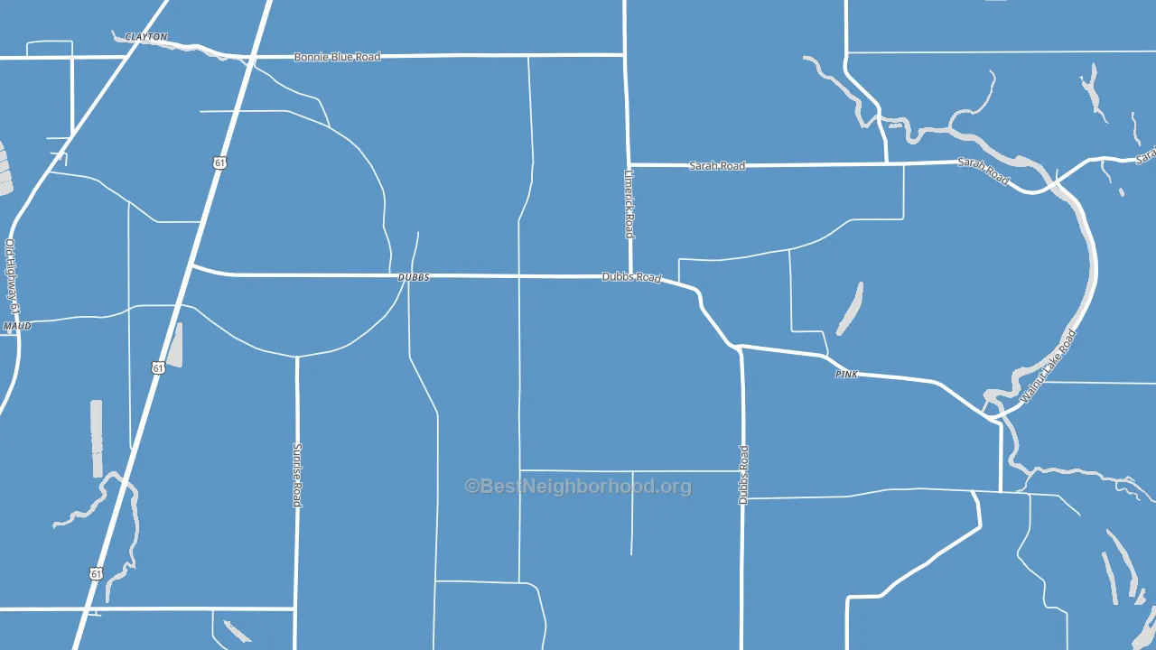 Dubbs, MS block-group political-lean map