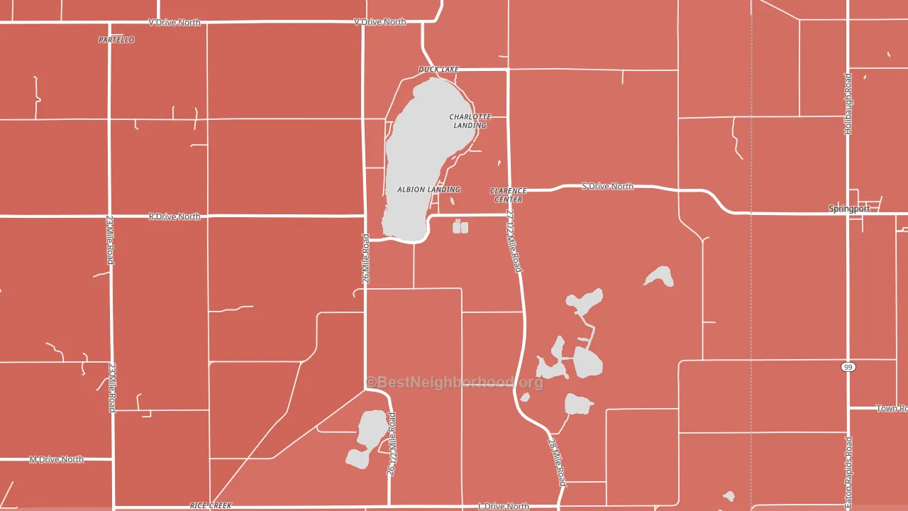 Duck Lake, MI block-group political-lean map