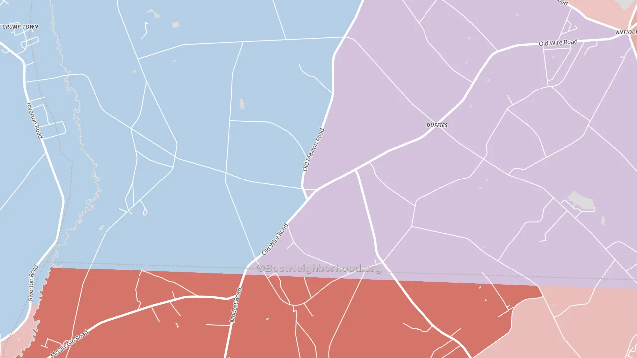 Duffies, NC block-group political-lean map