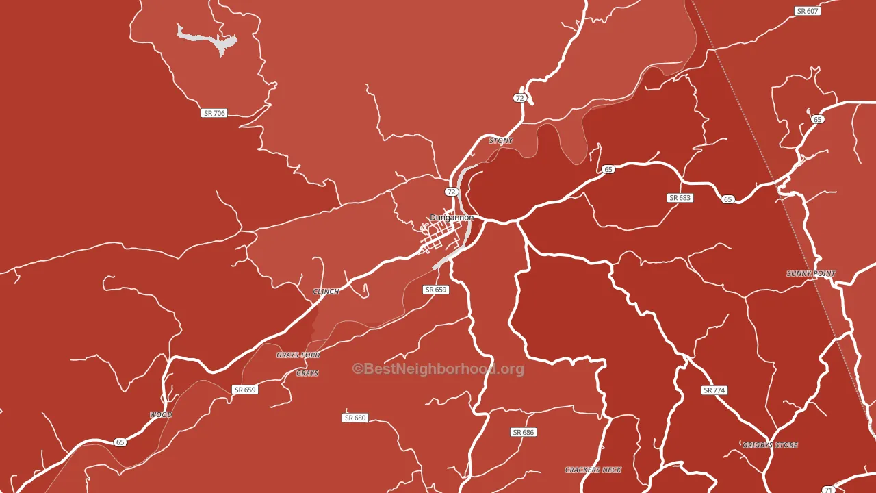 Dungannon, VA block-group political-lean map