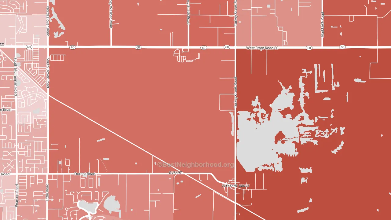 Durant, FL block-group political-lean map