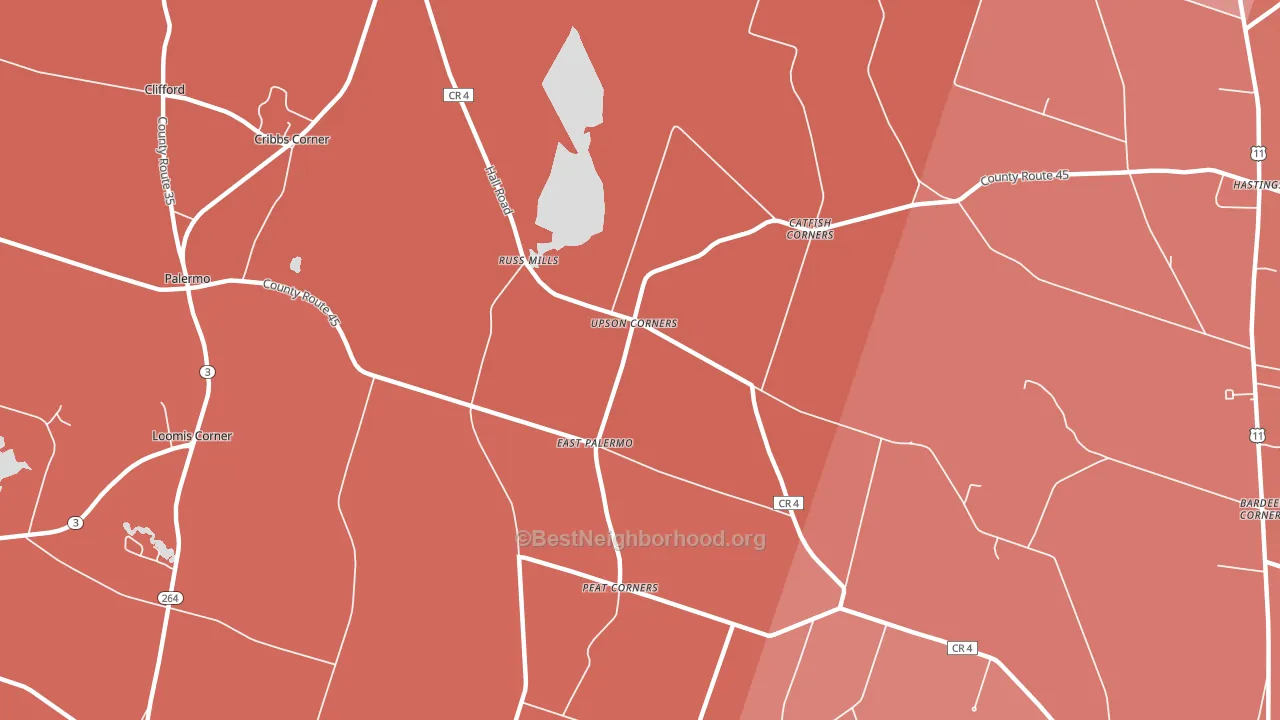 East Palermo, NY block-group political-lean map