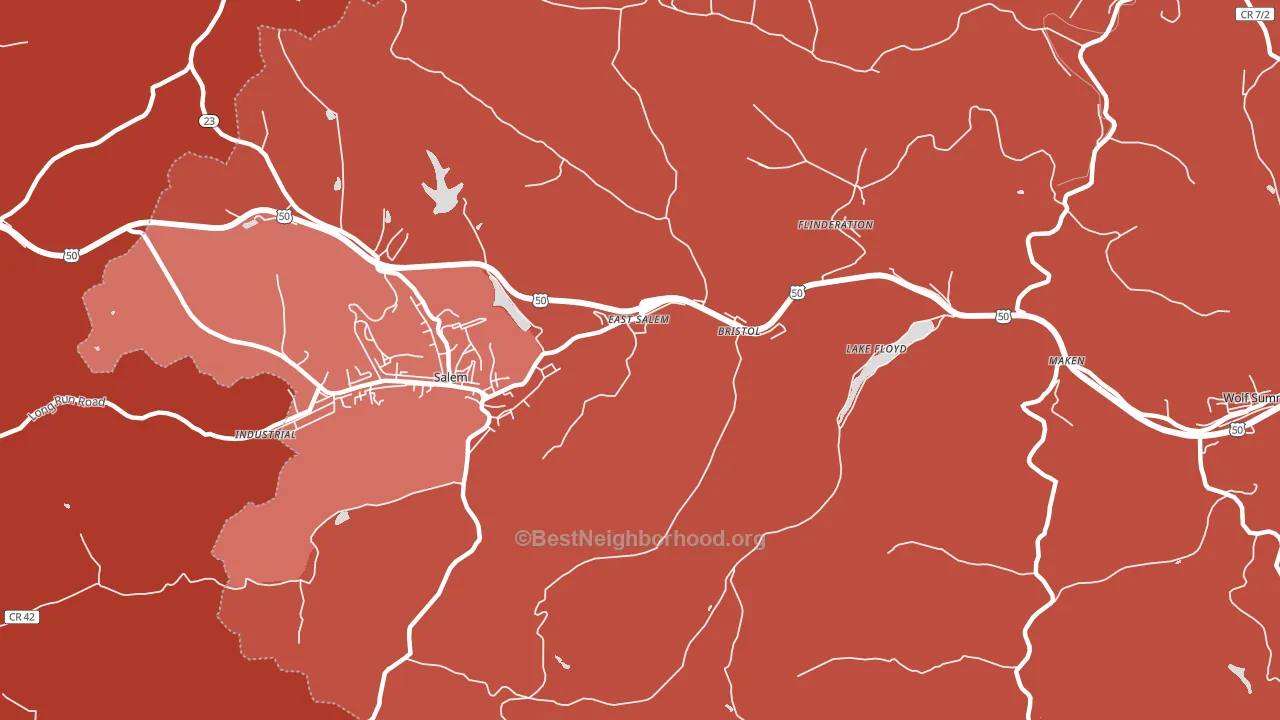 East Salem, WV block-group political-lean map