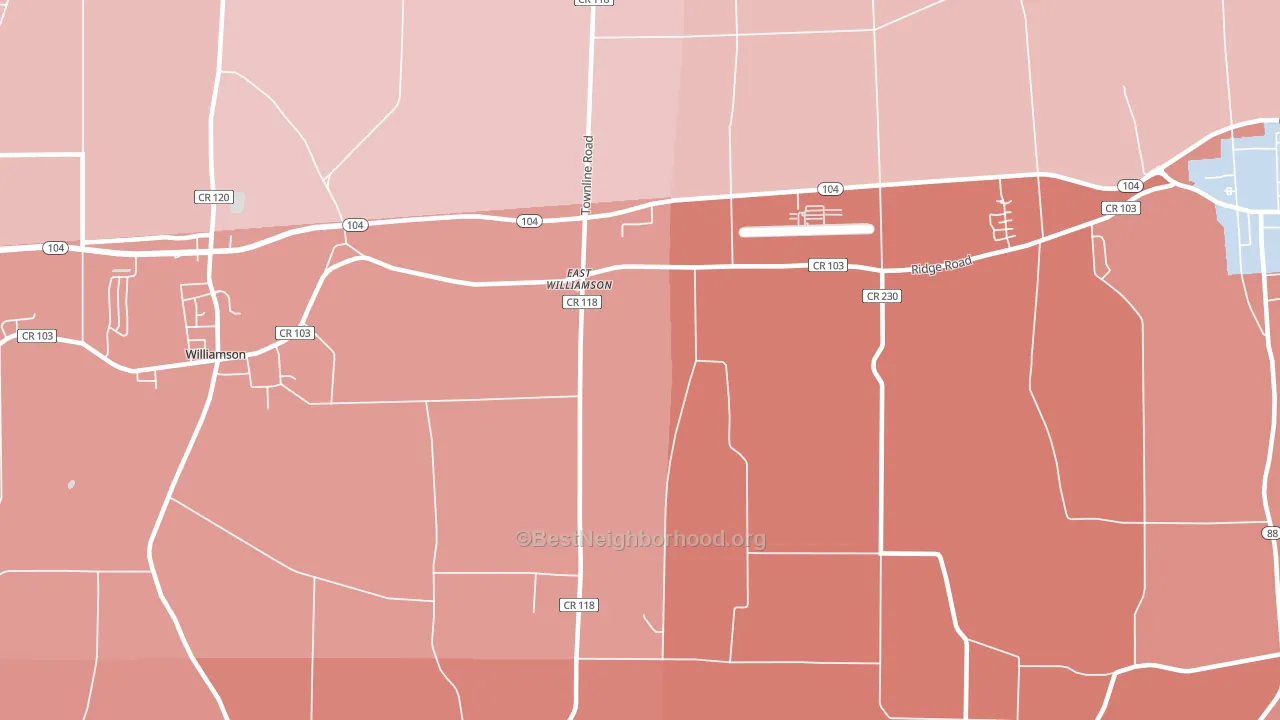 East Williamson, NY block-group political-lean map