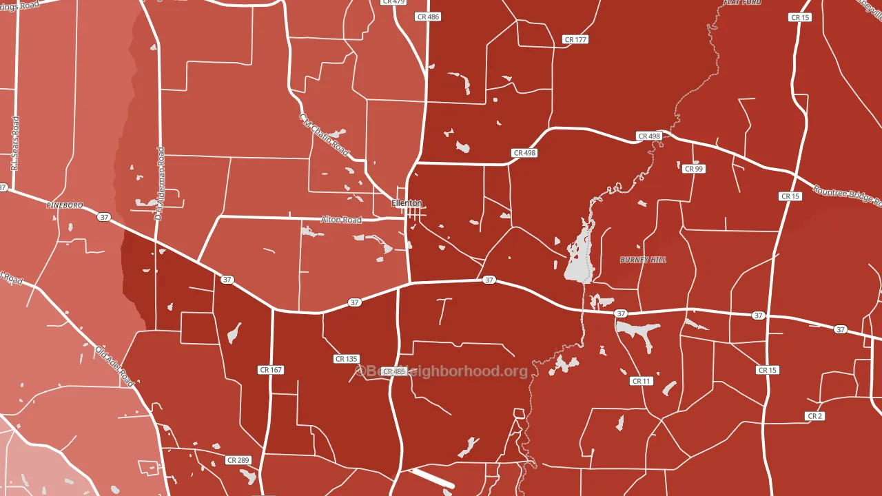 Ellenton, GA block-group political-lean map