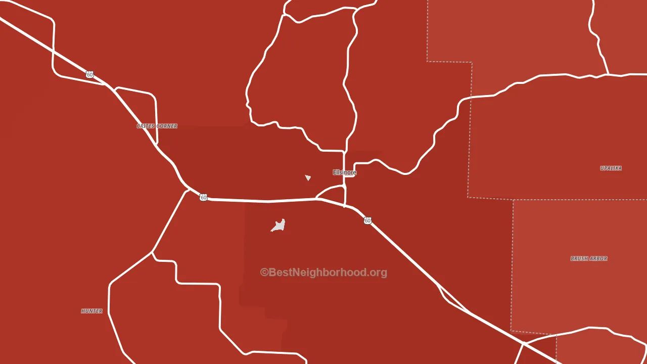 Ellsinore, MO block-group political-lean map